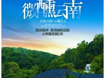 云南纯玩游